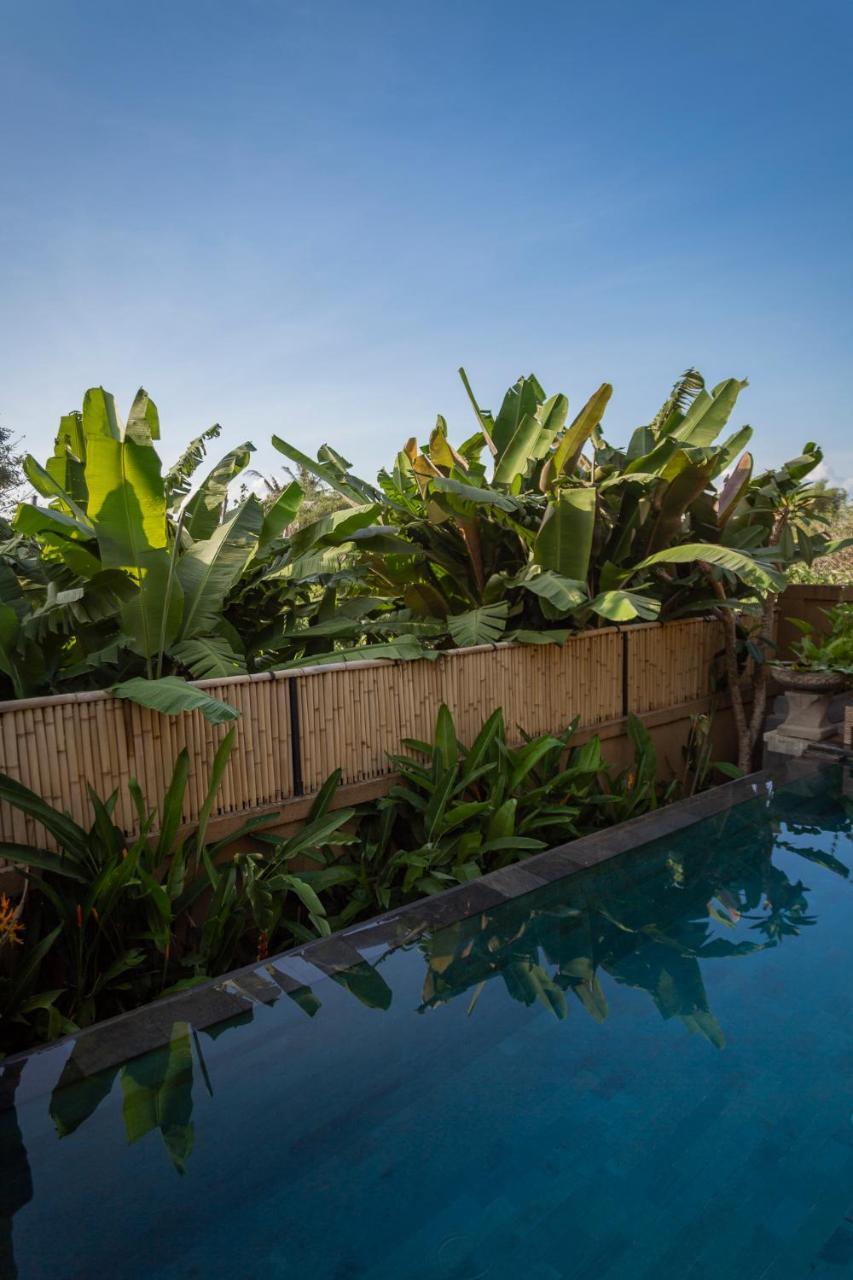 Umah Tikari Guesthouse Canggu  Exterior photo