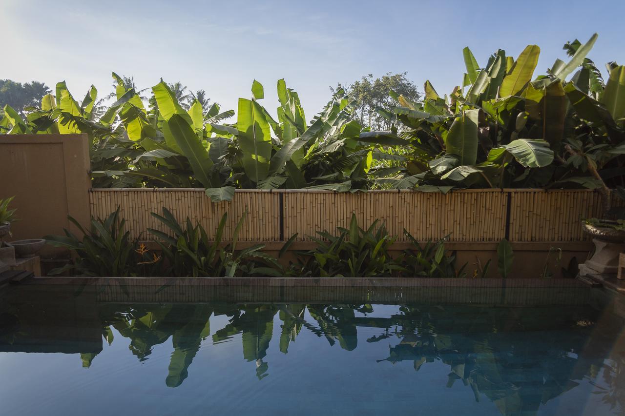 Umah Tikari Guesthouse Canggu  Exterior photo